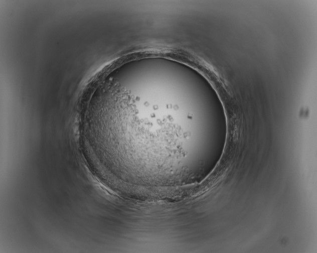 X0000097861448200803281301