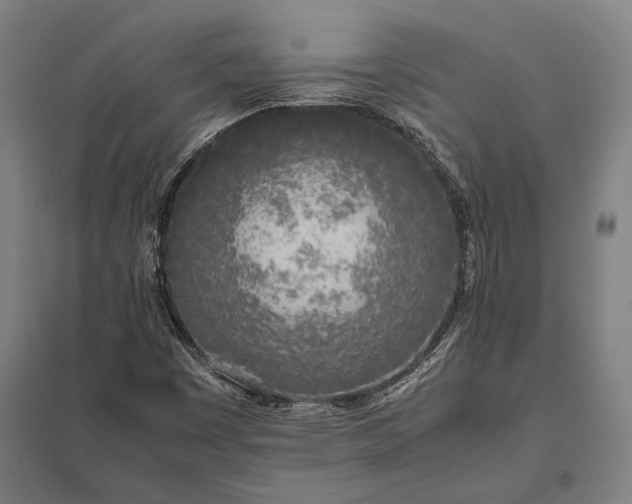 X0000097861449200803281301