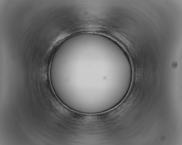 X0000097861451200803281301