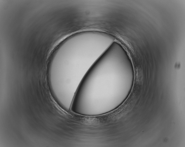 X0000097861452200803281301