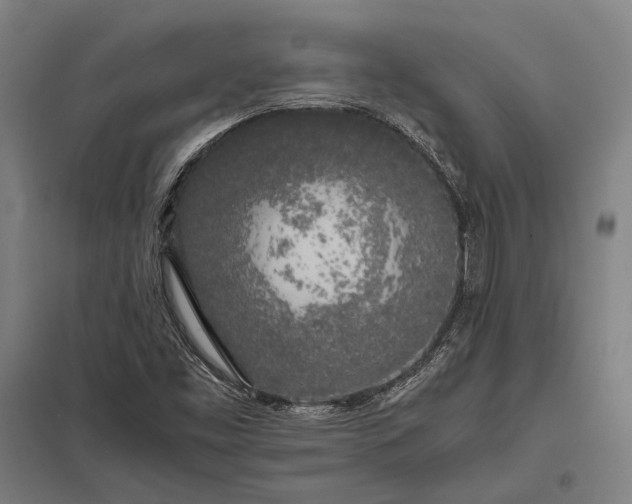 X0000097861453200803281301