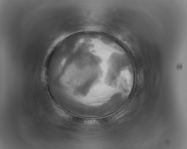 X0000097861454200803281301