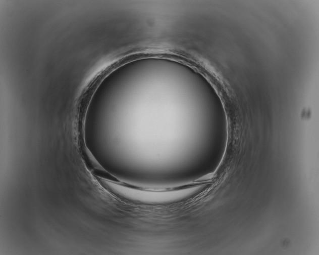 X0000097861456200803281301