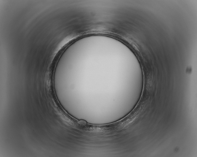 X0000097861458200803281301