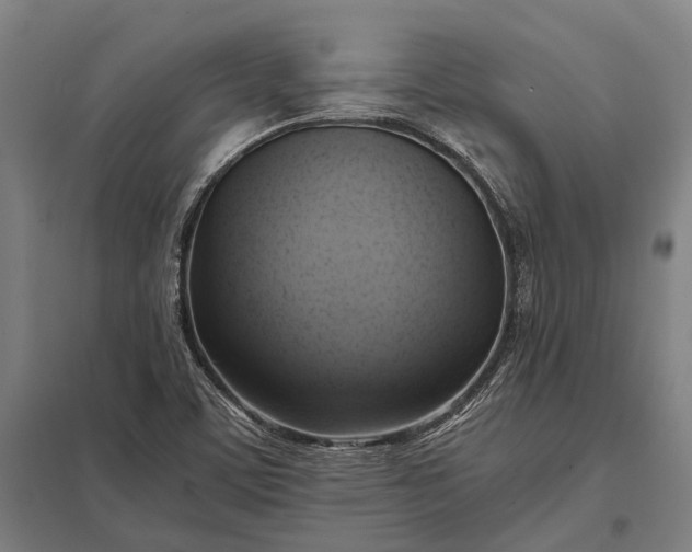 X0000097861459200803281301