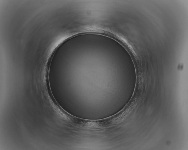 X0000097861463200803281301