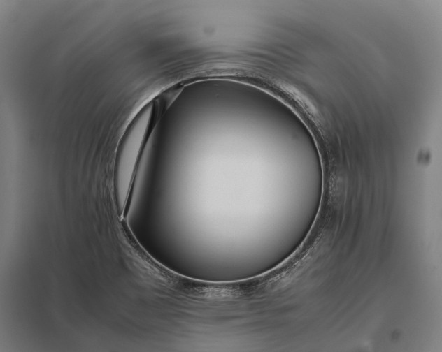 X0000097861465200803281301