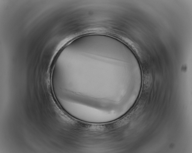 X0000097861466200803281301