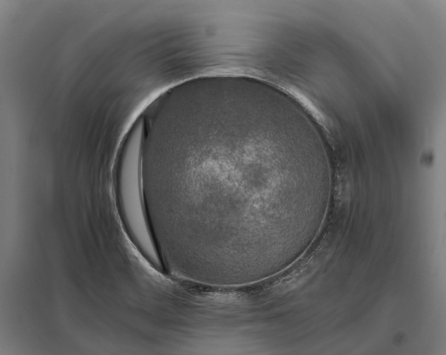 X0000097861468200803281301