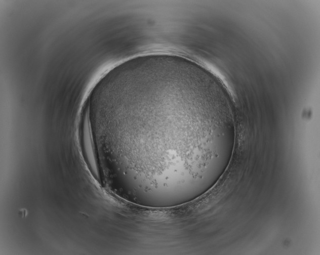 X0000097861472200803281301