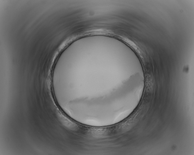 X0000097861474200803281300