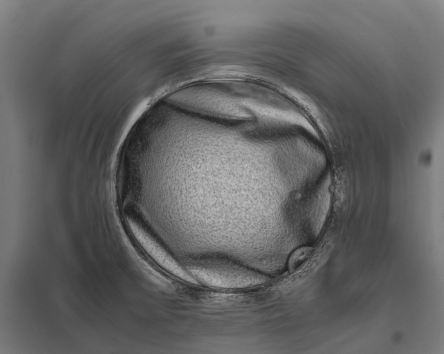 X0000097861475200803281300