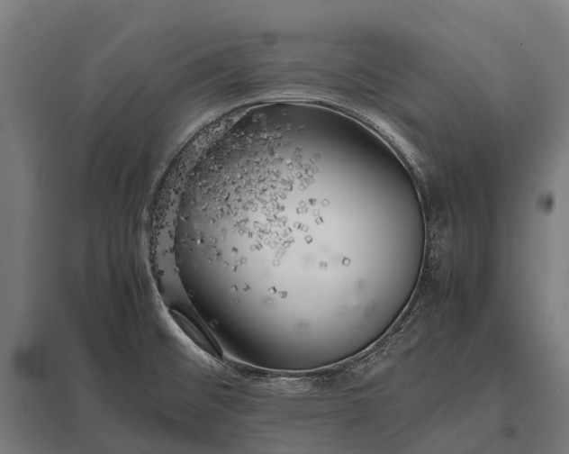 X0000097861476200803281300