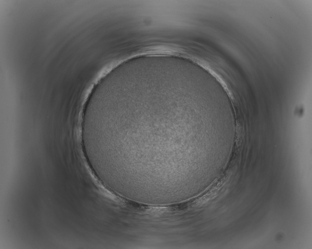 X0000097861477200803281300