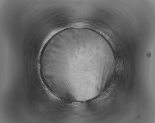 X0000097861478200803281300