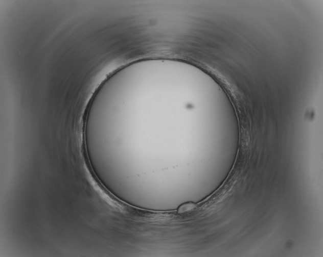 X0000097861479200803281300