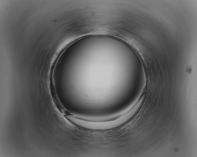 X0000097861480200803281300