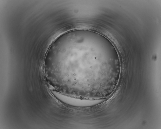 X0000097861481200803281300