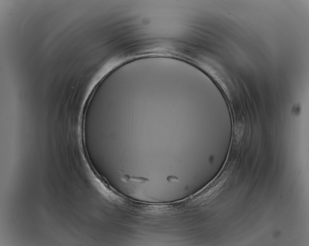 X0000097861482200803281300