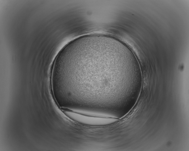 X0000097861483200803281300