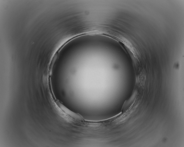 X0000097861484200803281300