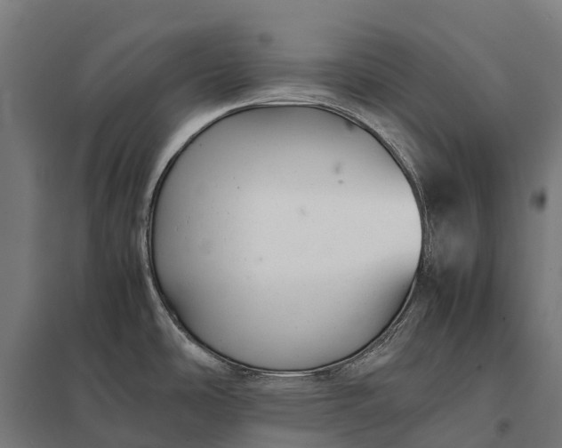 X0000097861486200803281300