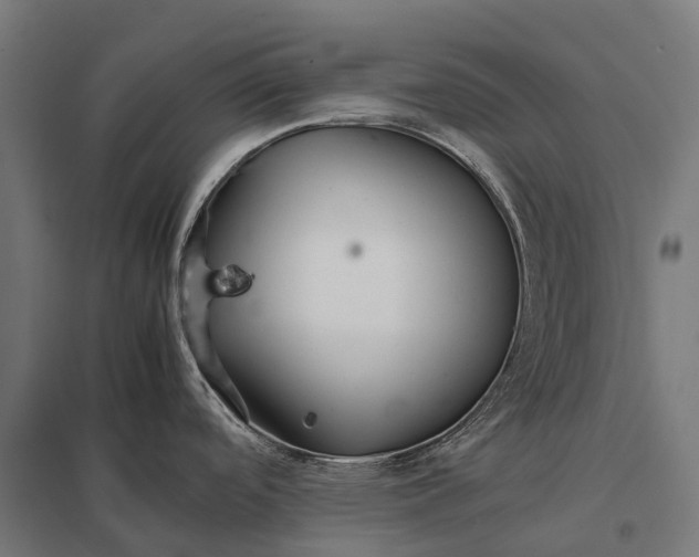 X0000097861488200803281300