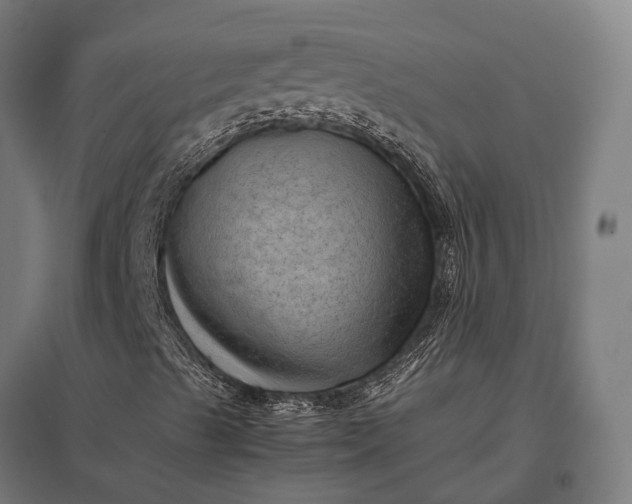 X0000097861489200803281259