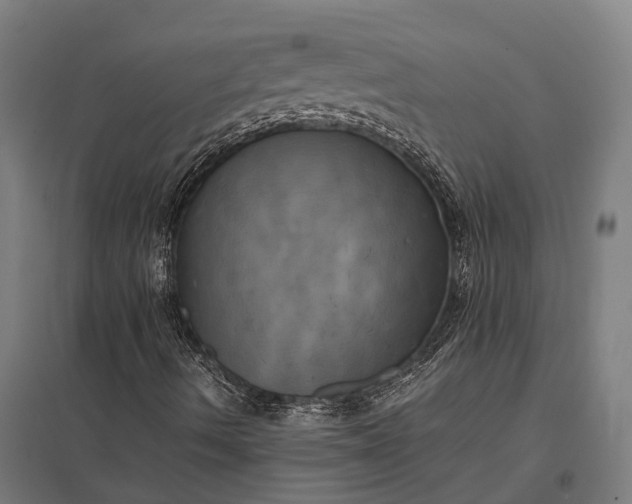 X0000097861490200803281259