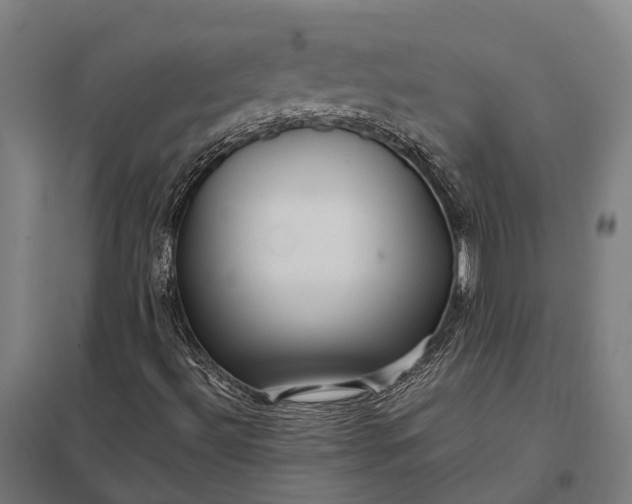 X0000097861492200803281300