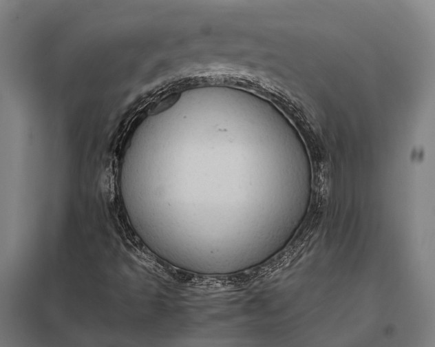 X0000097861493200803281300