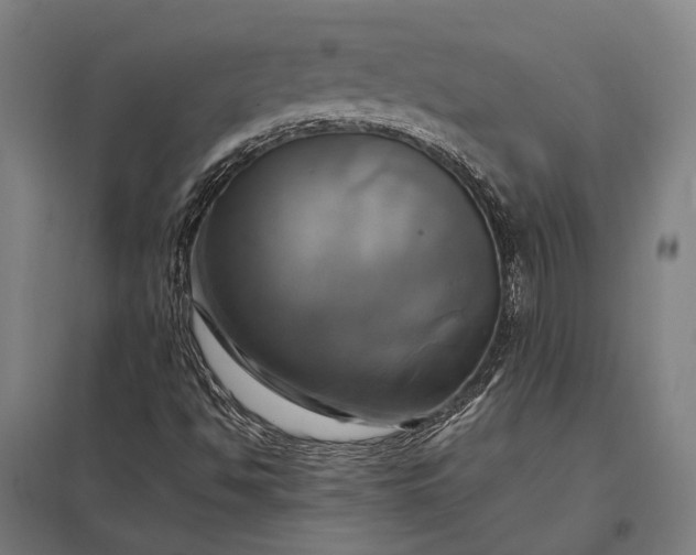 X0000097861494200803281300