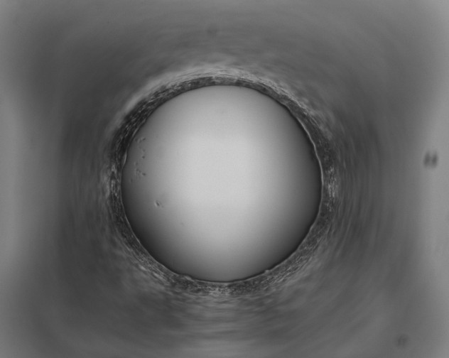 X0000097861495200803281300