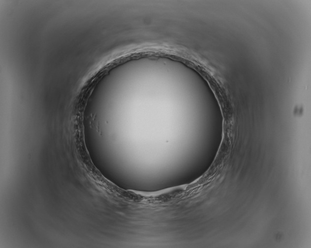 X0000097861496200803281300