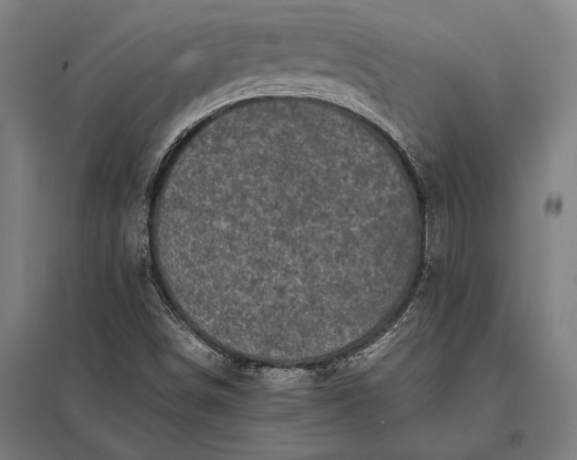 X0000097861498200803281300