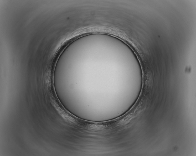 X0000097861499200803281300