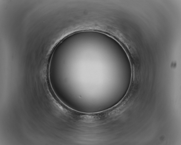 X0000097861500200803281300