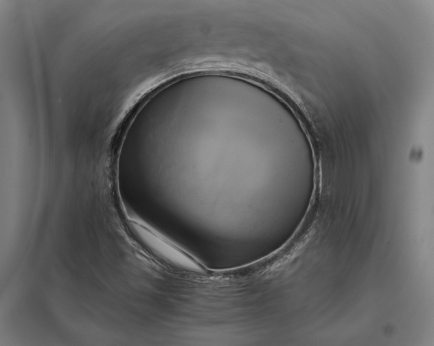 X0000097861501200803281300