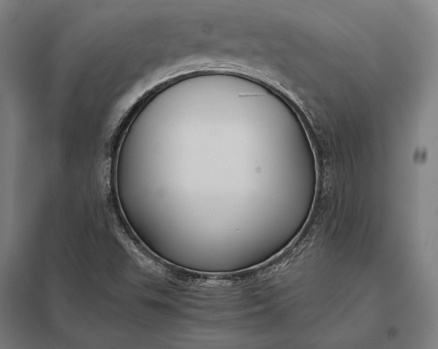 X0000097861503200803281300