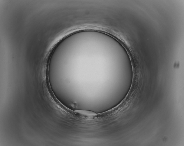 X0000097861504200803281300