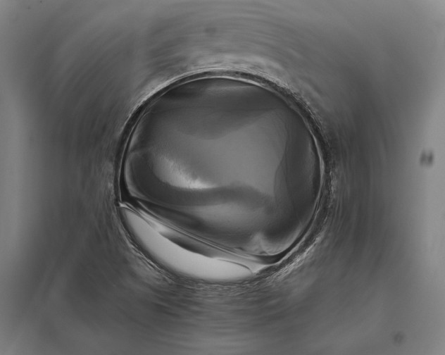 X0000097861505200803281300