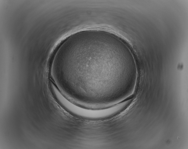 X0000097861506200803281300