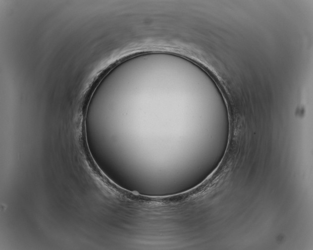 X0000097861507200803281300