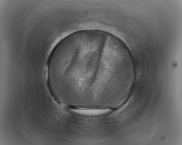 X0000097861509200803281300