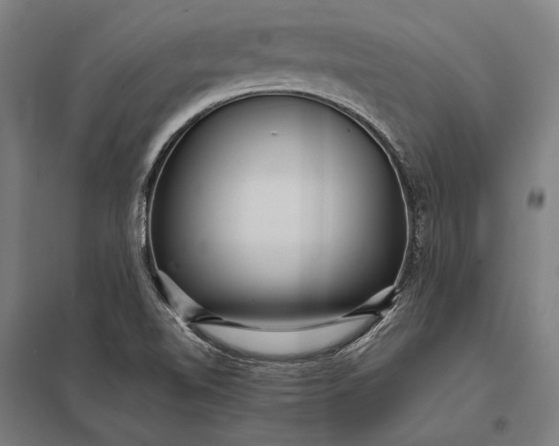 X0000097861510200803281300