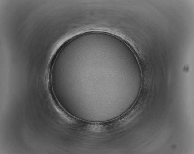 X0000097861511200803281300