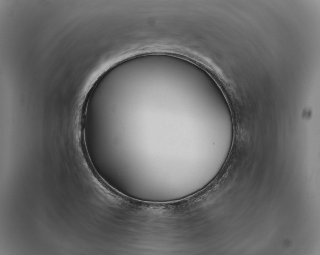 X0000097861512200803281300