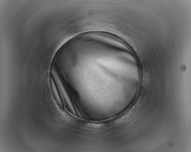 X0000097861513200803281300