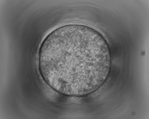 X0000097861514200803281300