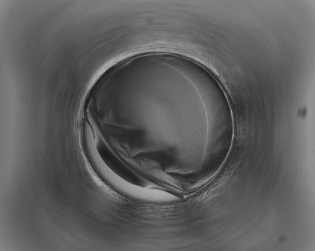 X0000097861515200803281300